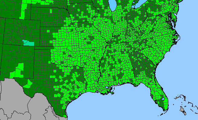The range of Geranium carolinianum